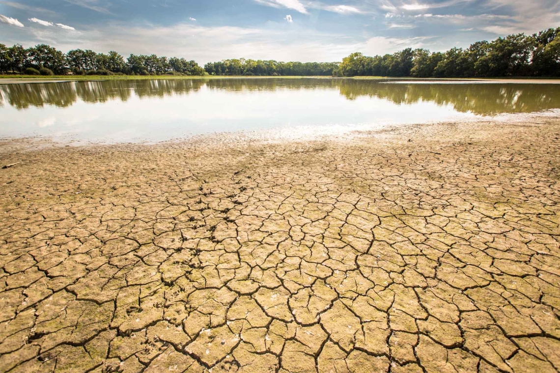 Canicule et manque d'eau en Europe : Attention danger !